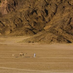 2.5-Hour Quad Biking Safari in Sharm El Sheikh Desert Tour
