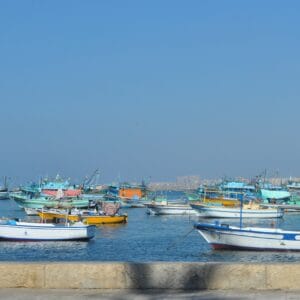 Alexandria Day Tour Catacombs, Citadel, and the Modern Library