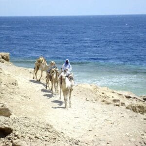 Dahab Adventure Blue Hole, Camel Ride and Jeep Safari from Sharm Excursion