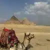 Giza Pyramids and GEM Day Tour from Sharm El Sheikh by Plane