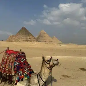 Giza Pyramids & GEM Day Tour from Sharm El Sheikh by Plane
