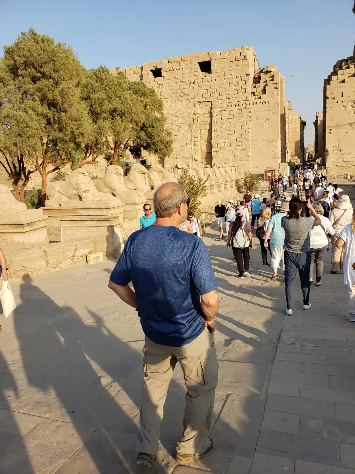 Luxor Tour from Sharm El-Sheikh by Plane Day Tour Luxor Tour from Sharm El-Sheikh by Plane Day Tour