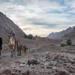 Mount Sinai Sunrise & St. Catherine’s Monastery Tour from Sharm excursion
