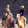 Sharm El Sheikh Desert Camel Safari and Bedouin Dinner