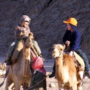 Sharm El Sheikh Desert Camel Safari and Bedouin Dinner