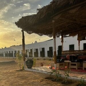 Sharm El Sheikh Desert Camel Safari and Bedouin Dinner Tour