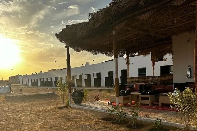 Sharm El Sheikh Desert Camel Safari and Bedouin Dinner Tour