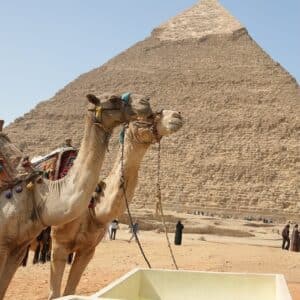 Wheelchair Accessible Giza & GEM Tour from Port Said Port Day Tour