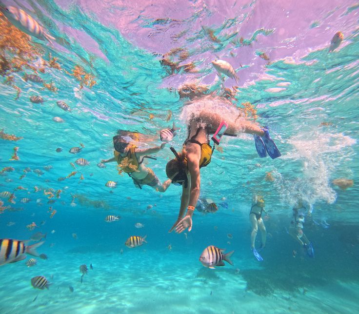 12-Day Explore Ancient Egypt Pyramids - Nile - Luxor - Aswan - Hurghada & Temples 12-Day Explore Ancient Egypt Pyramids - Nile - Luxor - Aswan - Hurghada & Temples