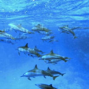 15 Days of Love in Egypt – Cairo, Nile Cruise & Red Sea Paradise tour package