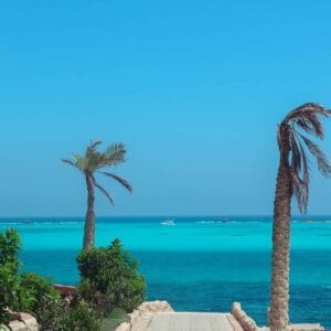 8 Days Egypt Desert Safari Adventure – White Desert, Siwa Oasis & Giza (8 Days Tour) travel package