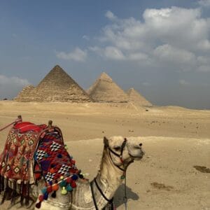 8 Days Egypt Desert Safari Adventure – White Desert, Siwa Oasis & Giza (8 Days Tour) tour package