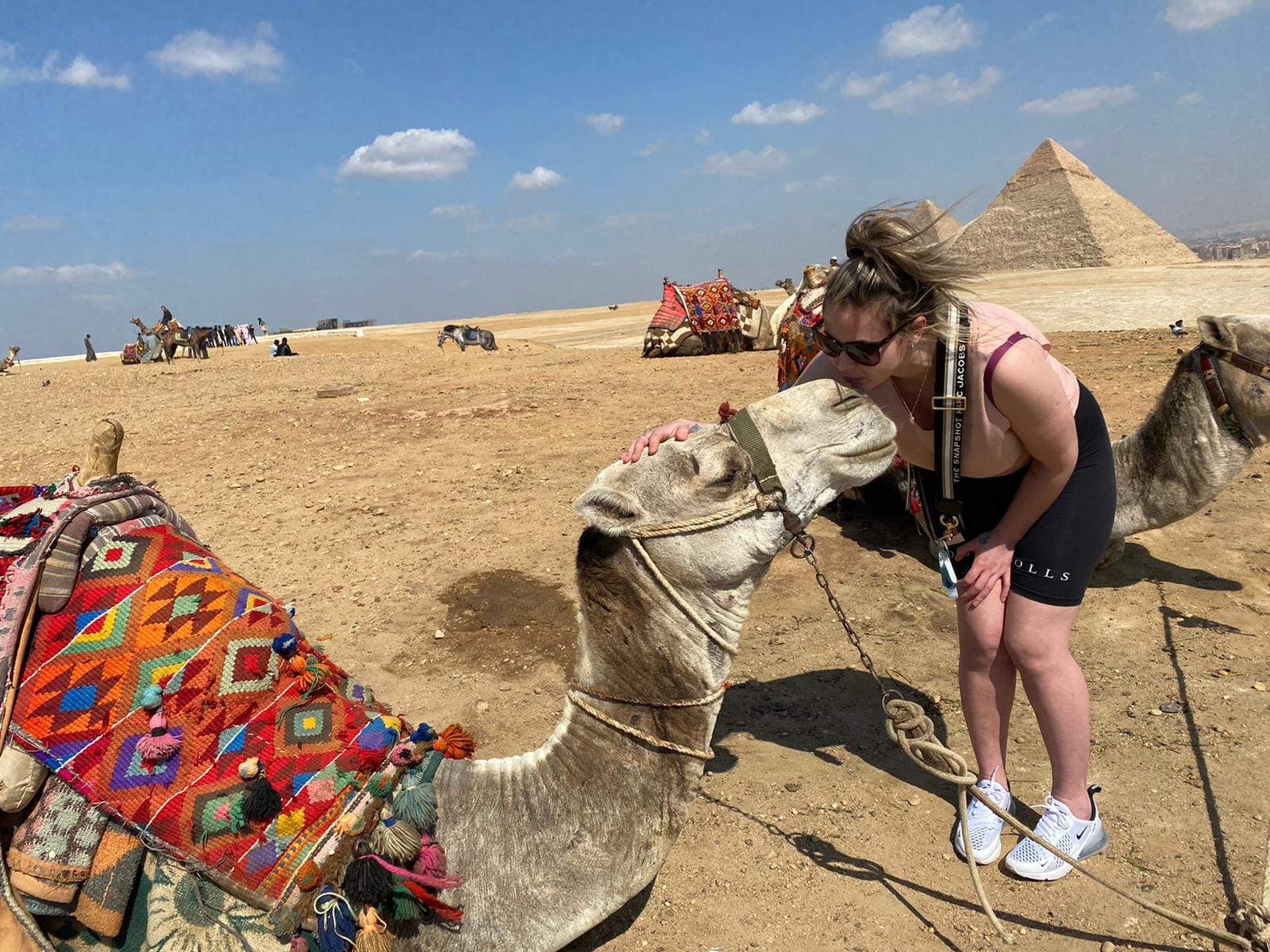 8–10 hours Express Pyramids and GEM from Cairo Airport 8–10 hours Express Pyramids and GEM from Cairo Airport