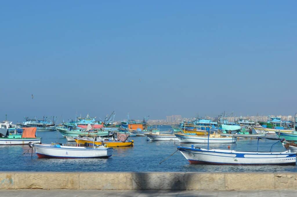 Alexandria Egypt's Mediterranean Gem full guide