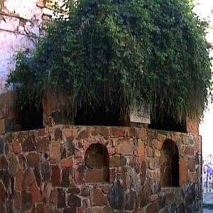 Cairo & Mount Sinai – A Journey of Faith, History & Discovery travel package