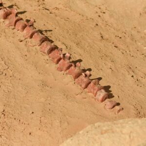 Easter Holiday in Egypt – Explore Cairo, Alexandria, Fayoum & Minya (7 Days Tour) travel package