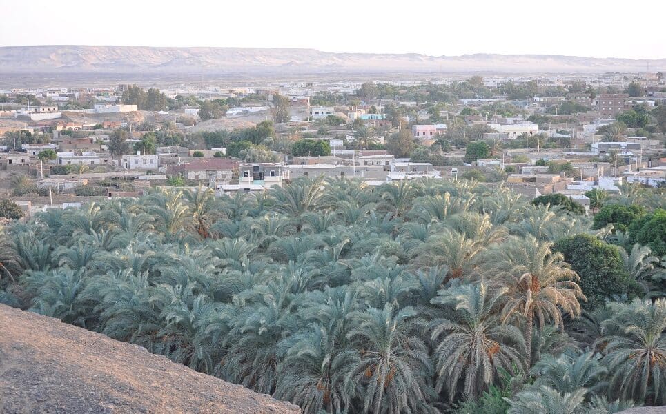 Farafra Oasis Egypt’s Artistic Haven & The Ultimate White Desert Base Camp