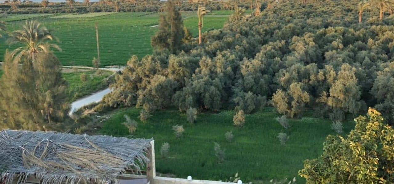 Fayoum 4 Fayoum Oasis Beyond The Nile Valley