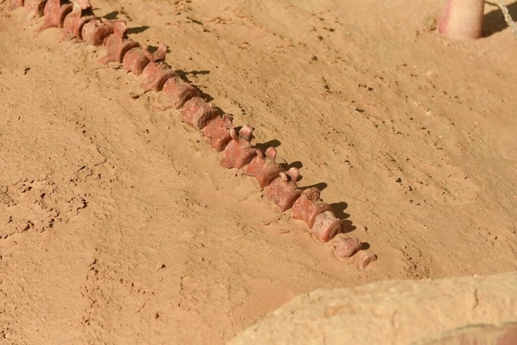 Fayoum 5 Fayoum Oasis Beyond The Nile Valley Travel Tips