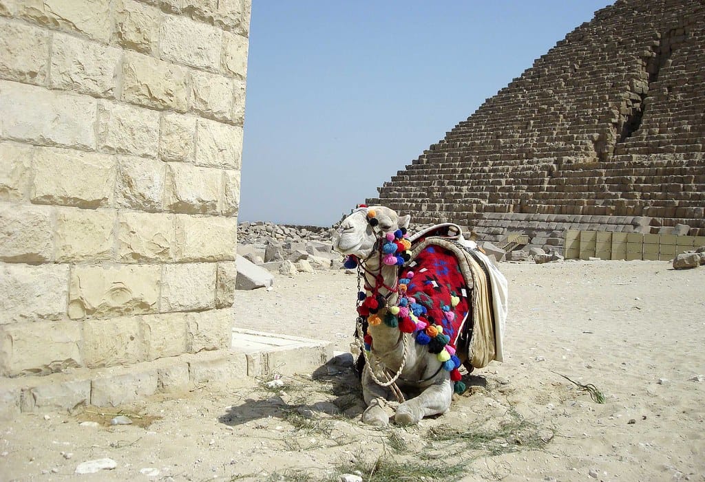 Giza Pyramids, Camel Ride and GEM Day Tour from Alexandria Port Giza Pyramids, Camel Ride and GEM Day Tour from Alexandria Port