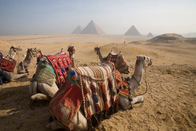 Giza and Museum Day Tour from Port Said Port Giza and Museum Day Tour from Port Said Port