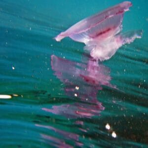 Hurghada & Luxor Red Sea Escape – 8 Days / 7 Nights of Adventure and Culture travel package