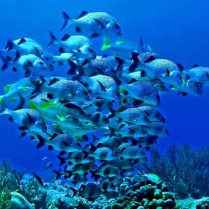 Hurghada & Luxor Red Sea Escape – 8 Days / 7 Nights of Adventure and Culture vacation