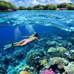 3-Day Marsa Alam Safari Wadi El Gemal, Desert Stargazing & Red Sea Relaxation vacation 3-Day Marsa Alam Safari Wadi El Gemal, Desert Stargazing & Red Sea Relaxation vacation