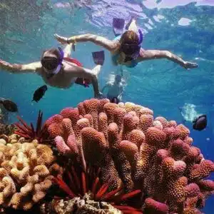 3-Day Marsa Alam Safari Wadi El Gemal, Desert Stargazing & Red Sea Relaxation