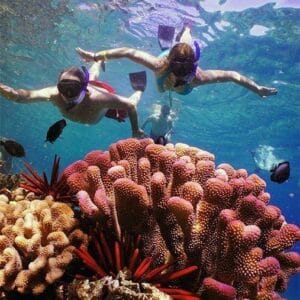 The Ultimate Marsa Alam Adventure: Desert Safari, Bedouin Culture & Coastal Bliss travel package The Ultimate Marsa Alam Adventure: Desert Safari, Bedouin Culture & Coastal Bliss travel package