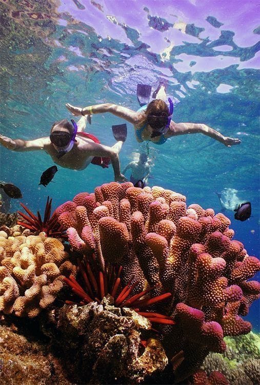 3-Day Marsa Alam Safari Wadi El Gemal, Desert Stargazing & Red Sea Relaxation 3-Day Marsa Alam Safari Wadi El Gemal, Desert Stargazing & Red Sea Relaxation