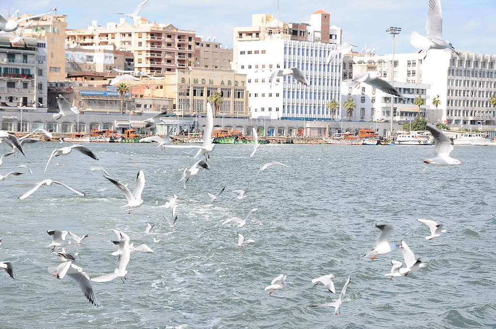 Port Said 5 Port Said Suez Canal’s Cosmopolitan Gateway Full Guide