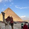Pyramids & The Nile at Christmas & New Year
