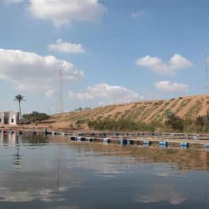 Rashid City from El-Alamein