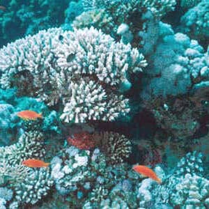 Sharm El Sheikh & Cairo Beach Escape – 7 Days of Sun and Culture travel package Sharm El Sheikh & Cairo Beach Escape – 7 Days of Sun and Culture travel package