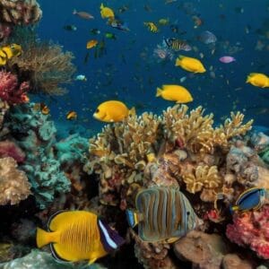 Sharm El Sheikh & Luxor All-Inclusive Beach Holiday travel package