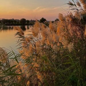 Ultimate Egypt Adventure: Cairo, Alexandria, Fayoum & Marsa Matrouh (12 Days Tour) vacation