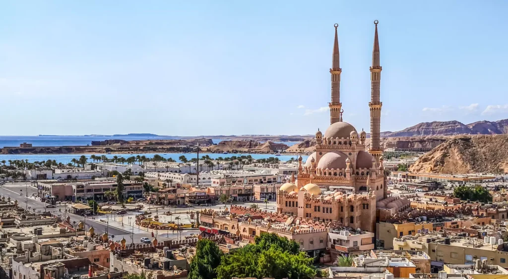 Shark’s Bay vs. Naama Bay—Which to Choose