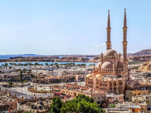 Shark’s Bay vs. Naama Bay—Which to Choose