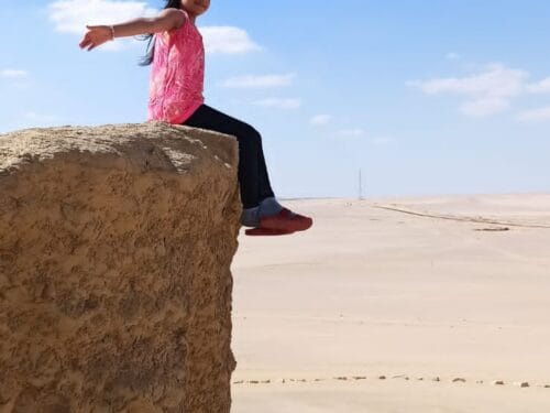 Fossils & Geological Treasures in Egypt’s Western Desert