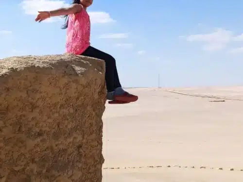 Fossils & Geological Treasures in Egypt’s Western Desert