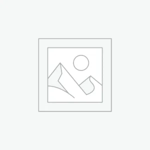 Abu Simbel temple Tour from Aswan by bus